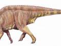 <b>Категории: </b>Динозавры <br><b>Размеры:</b> 1600x663, 141.4 Кб