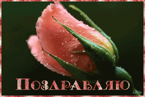 http://kartiny.ucoz.ru/_ph/182/2/571428054.gif