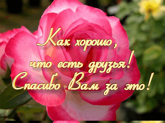http://kartiny.ucoz.ru/_ph/191/2/340789877.gif