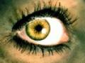 <b>Категории: </b>Глаза женские <br><b>Размеры:</b> 100x100, 10.2 Кб
