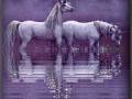 <b>Категории: </b>Лошади, кони <br><b>Размеры:</b> 168x300, 141.5 Кб