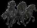 <b>Категории: </b>Лошади, кони <br><b>Размеры:</b> 450x338, 162.1 Кб