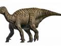 <b>Категории: </b>Динозавры <br><b>Размеры:</b> 1000x553, 156.6 Кб