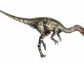 <b>Категории: </b>Динозавры <br><b>Размеры:</b> 900x438, 45.0 Кб