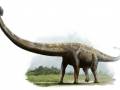 <b>Категории: </b>Динозавры <br><b>Размеры:</b> 550x368, 35.9 Кб