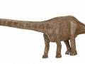 <b>Категории: </b>Динозавры <br><b>Размеры:</b> 1000x500, 67.7 Кб