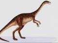 <b>Категории: </b>Динозавры <br><b>Размеры:</b> 1536x1024, 119.0 Кб
