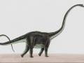 <b>Категории: </b>Динозавры <br><b>Размеры:</b> 1536x1024, 77.8 Кб