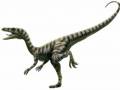 <b>Категории: </b>Динозавры <br><b>Размеры:</b> 600x433, 29.2 Кб