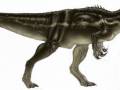 <b>Категории: </b>Динозавры <br><b>Размеры:</b> 1024x379, 53.0 Кб
