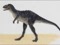 <b>Категории: </b>Динозавры <br><b>Размеры:</b> 1536x1024, 140.5 Кб