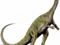 <b>Категории: </b>Динозавры <br><b>Размеры:</b> 684x812, 149.8 Кб