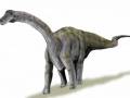 <b>Категории: </b>Динозавры <br><b>Размеры:</b> 1000x634, 40.6 Кб
