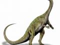 <b>Категории: </b>Динозавры <br><b>Размеры:</b> 800x845, 45.9 Кб