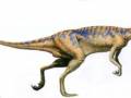 <b>Категории: </b>Динозавры <br><b>Размеры:</b> 425x157, 7.8 Кб