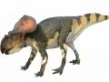 <b>Категории: </b>Динозавры <br><b>Размеры:</b> 720x480, 45.7 Кб