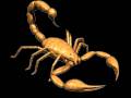 <b>Категории: </b>Скорпионы <br><b>Размеры:</b> 350x280, 227.3 Кб