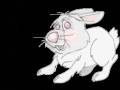 <b>Категории: </b>Зайцы, кролики <br><b>Размеры:</b> 256x185, 51.3 Кб