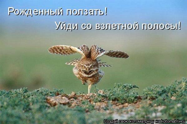 http://kartiny.ucoz.ru/_ph/76/2/872269199.jpg